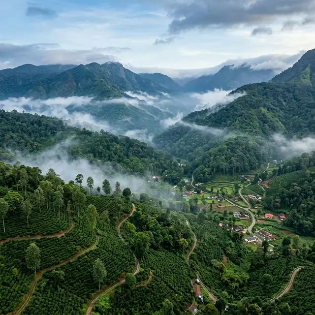 Coorg Tour Packages with Dedicated Taxi and Expert Driver